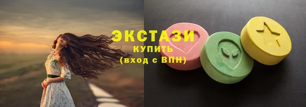 СК Алексин