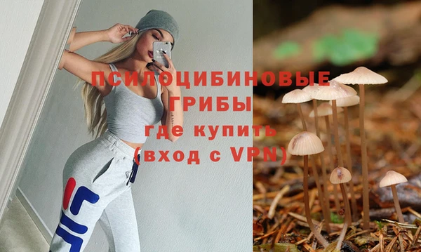 амфетамин Алексеевка
