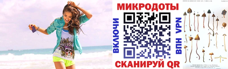 Галлюциногенные грибы мицелий  сколько стоит  MEGA как зайти  Кострома 